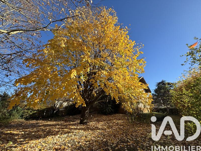 Maison de maîtres - 260 m² - 7 pièces