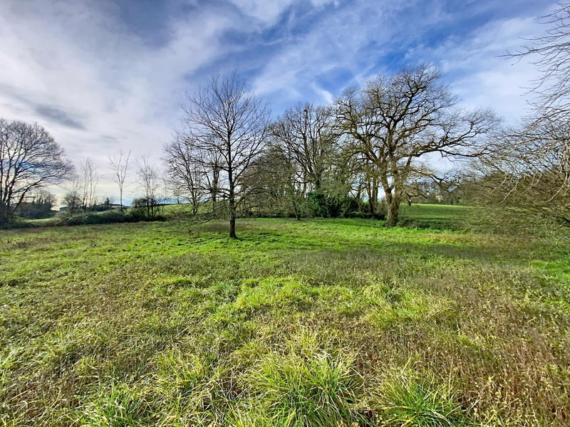 Maison - 137 m² - 6 pièces