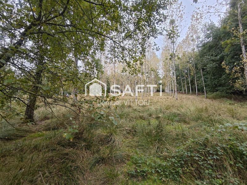 Terrain - 11 940 m²