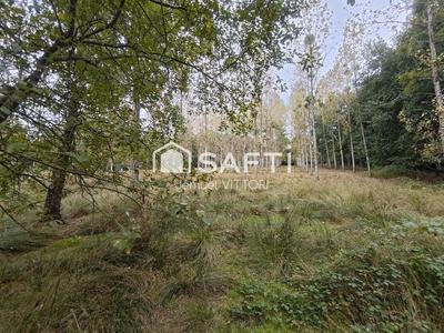 Terrain - 11 940 m²