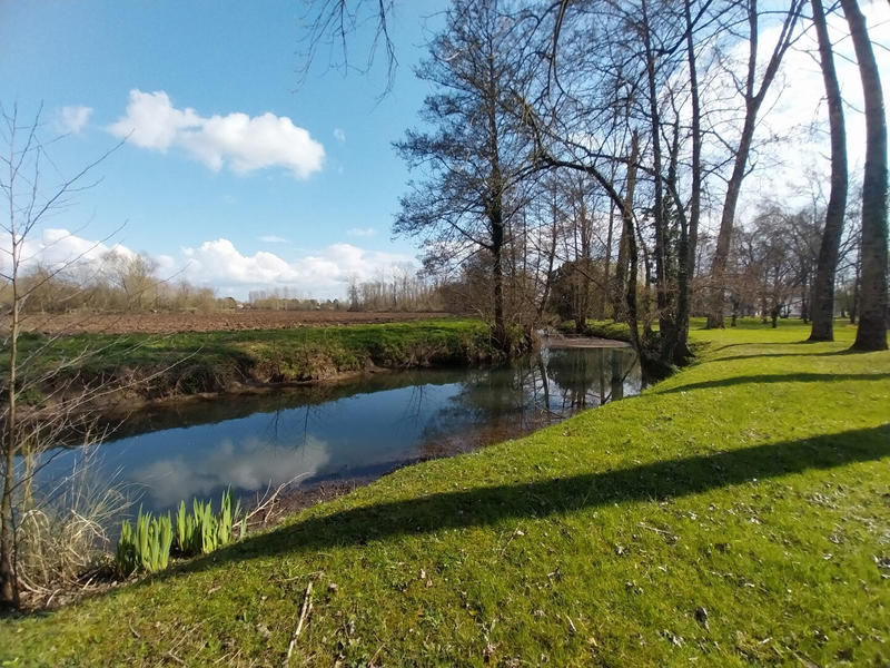 Maison - 284 m² - 7 pièces