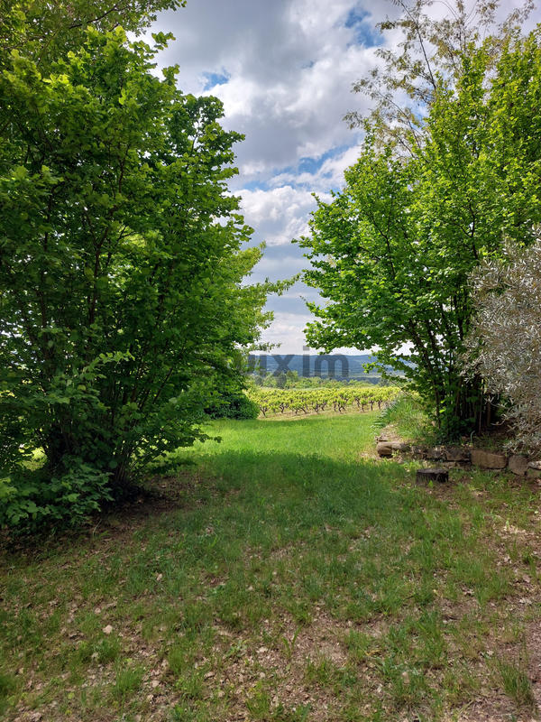 Mas - 302 m² - 11 pièces