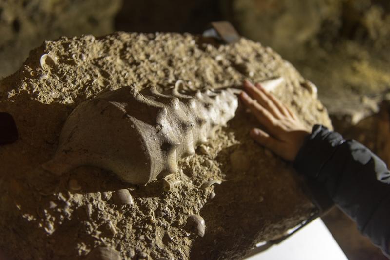 Visite guidée des souterrains de Laon