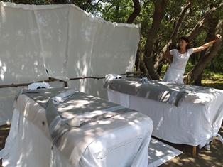 L'Essentiel-de-lavande