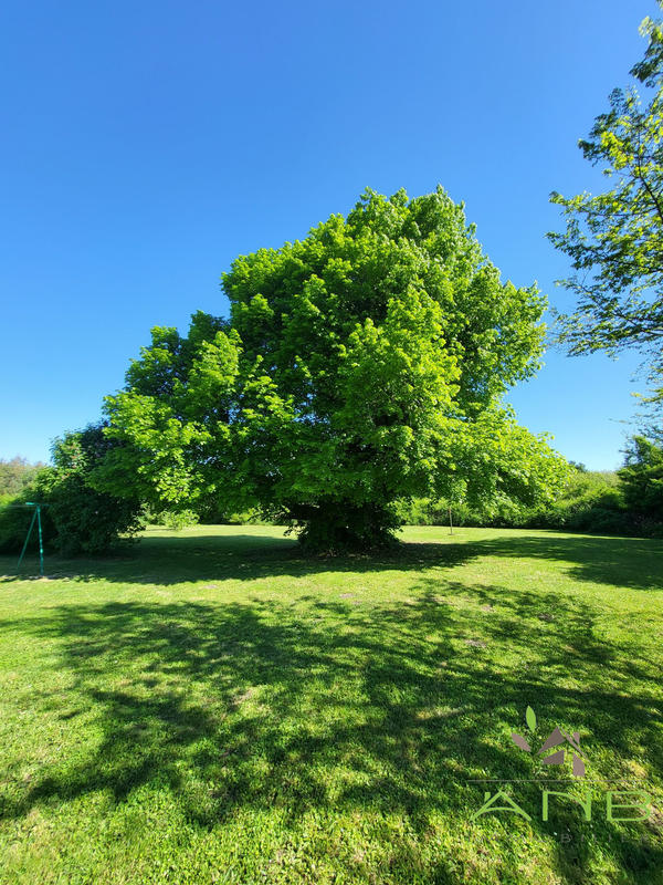 Maison - 254 m² - 10 pièces