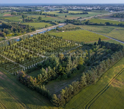 Terrain de loisirs - 100 m²