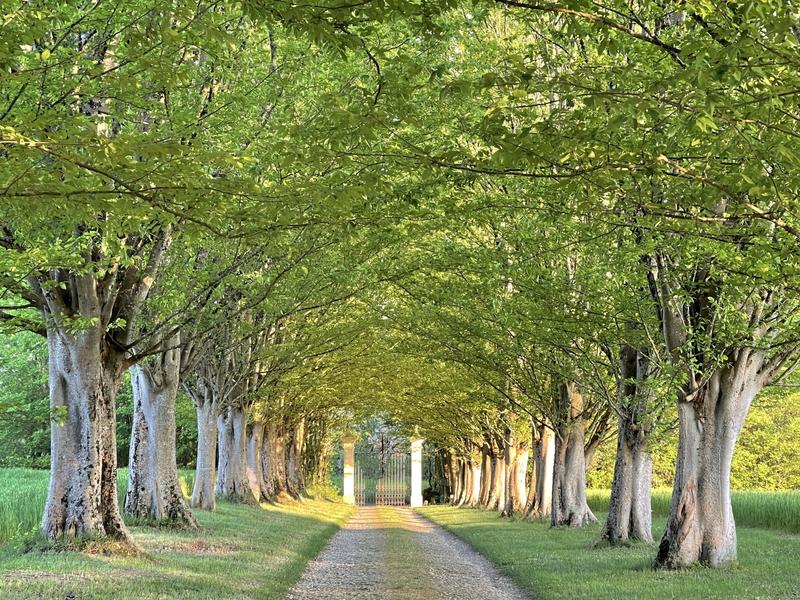 Maison - 484 m² - 17 pièces