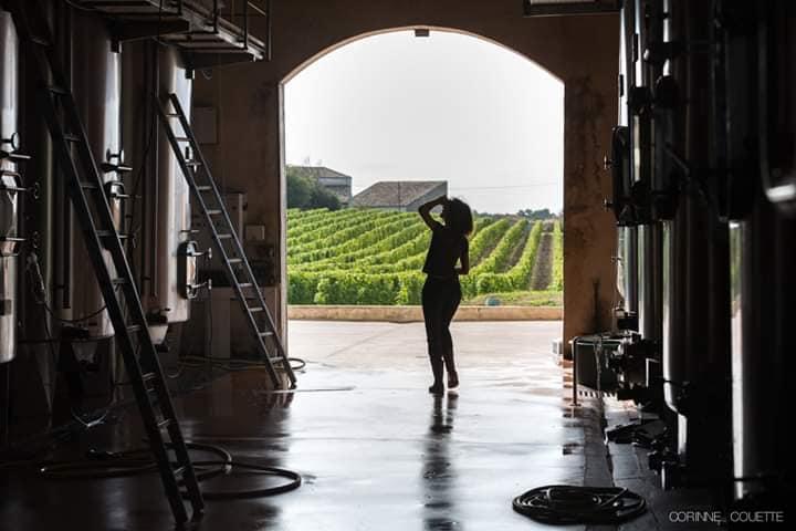 10 km entre vignes et marais