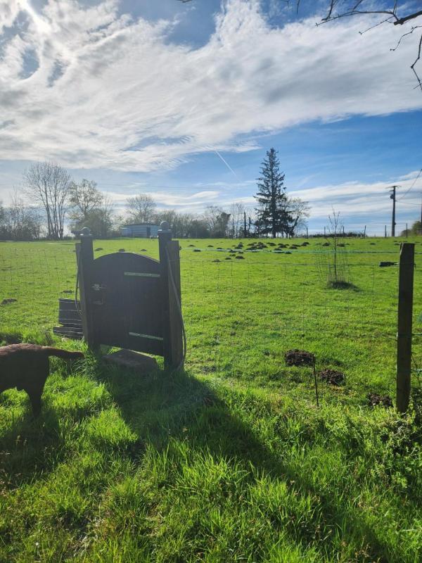 Maison - 150 m² - 4 pièces