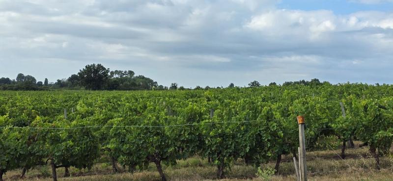 Maison - 180 000 m² - 12 pièces