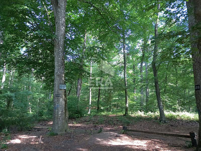 Appartement - 22 m² - 1 pièce