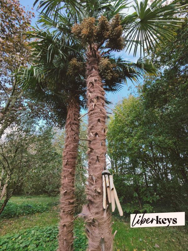 Longère - 160 m² - 6 pièces