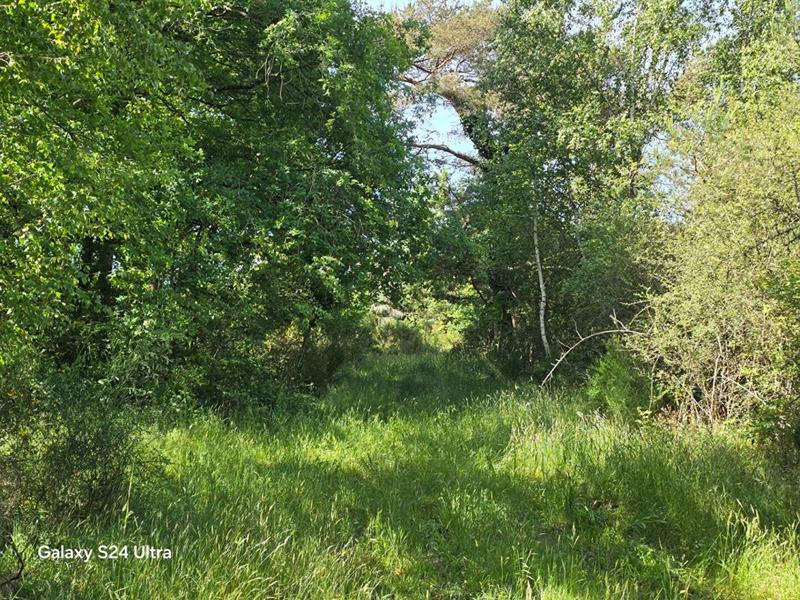 Terrain - 231 782 m²