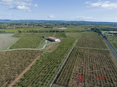 Propriété viticole - 1 pièce