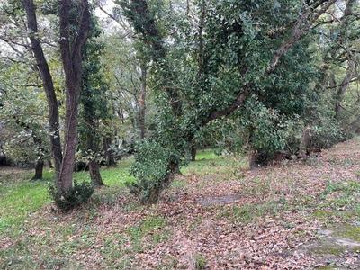 Terrain constructible - 5 406 m²