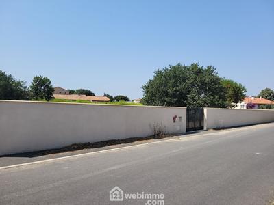 Terrain - 1 126 m²