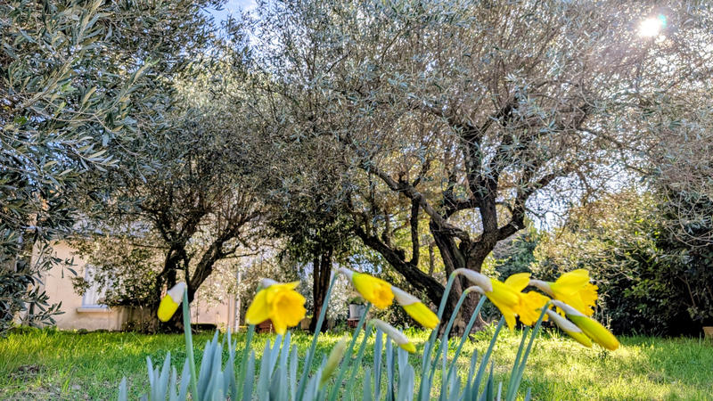 Maison - 121 m² - 5 pièces