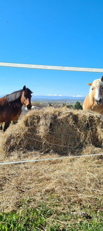 Fonds de commerce - Magasins - 62 459 m²