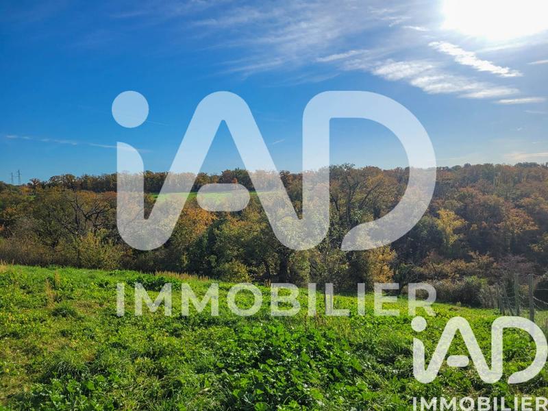 Maison - 317 m² - 8 pièces