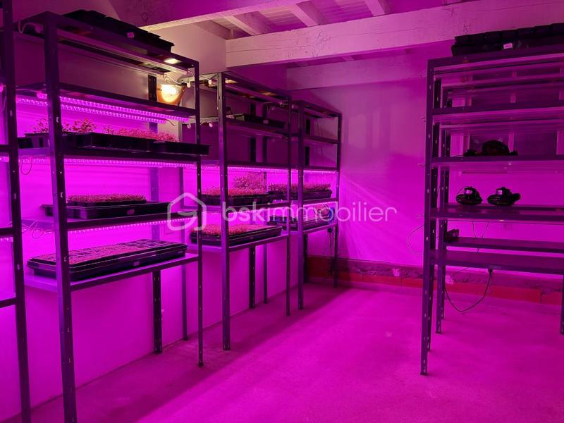 Maison en pierre - 112 m² - 4 pièces