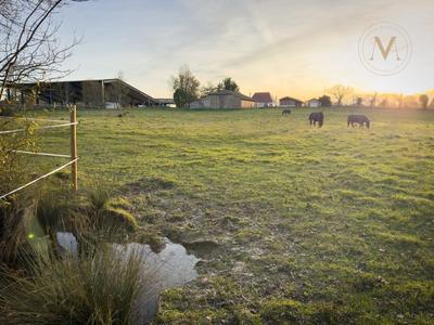 Haras - 118 m² - 6 pièces