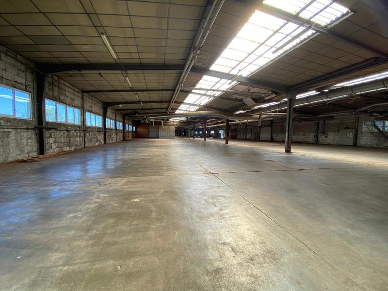 Local commercial - 3 257 m² - 12 pièces