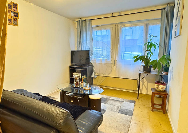 Appartement - 45 m² - 1 pièce