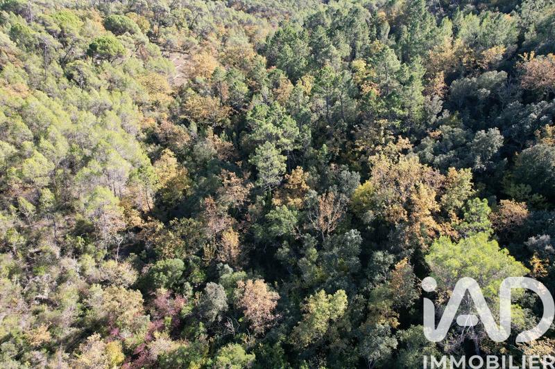 Terrain - 20 163 m²