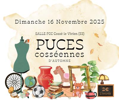 Puces cosséennes