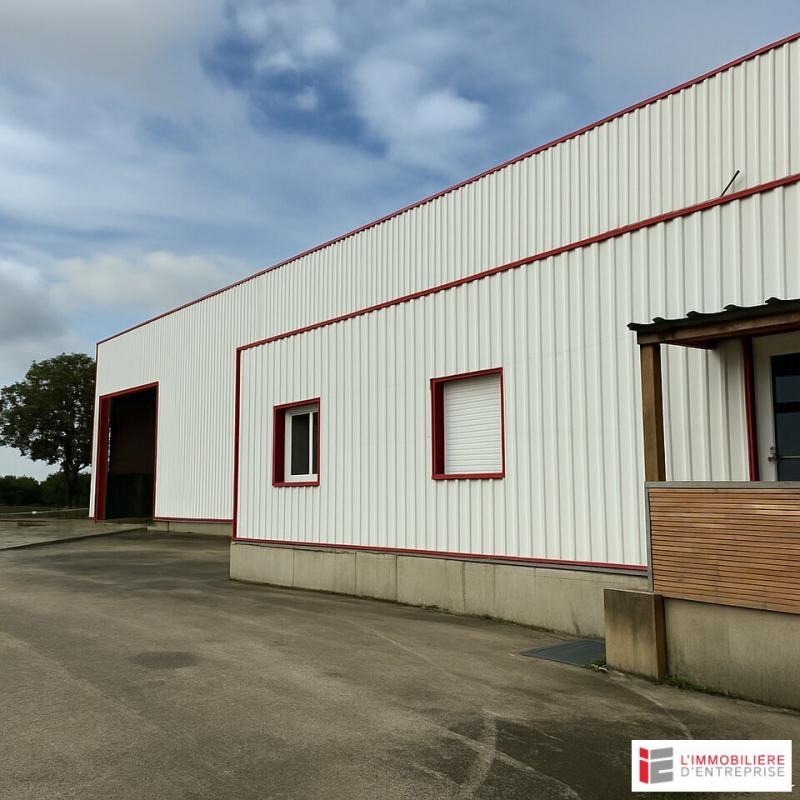 Local d'activité / Entrepôt - 1 025 m²