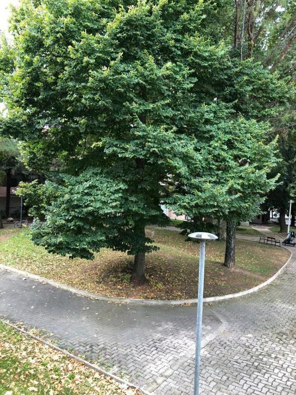 Appartement - 15 m² - 1 pièce