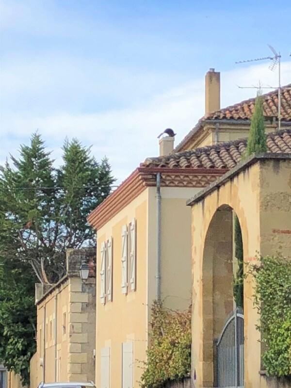 Maison - 161 m² - 6 pièces