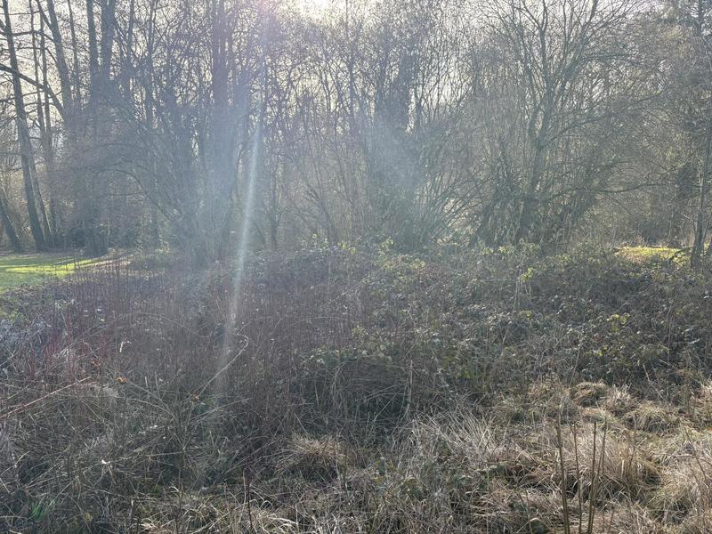 Terrain constructible - 968 m²