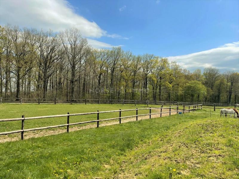 Maison de domaine équestre - 110 m² - 4 pièces