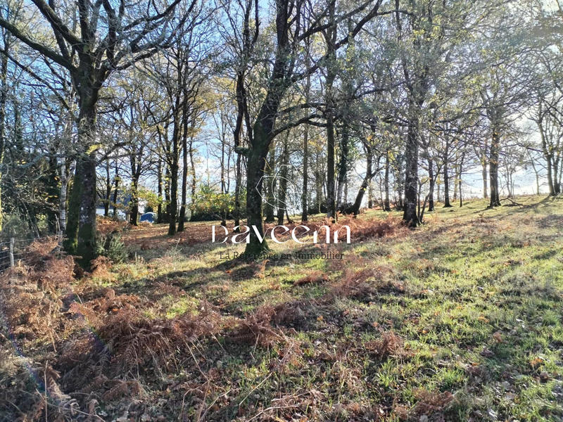 Maison - 154 m² - 5 pièces