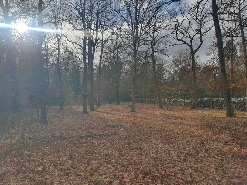 Propriété - 225 m² - 7 pièces