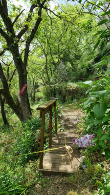 Maison - 42 m² - 2 pièces