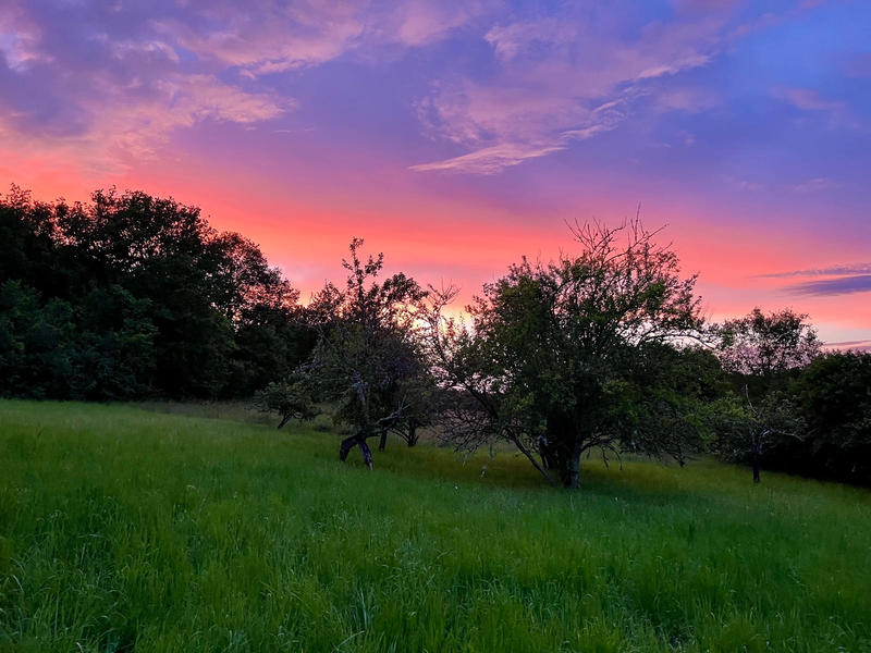 Maison - 129 m² - 5 pièces