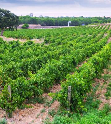 Maison - 122 m² - 4 pièces