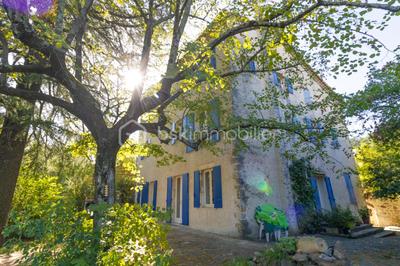 Maison de maîtres - 404 m² - 14 pièces