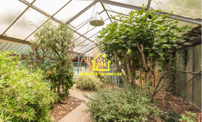 Maison ancienne - 210 m² - 5 pièces