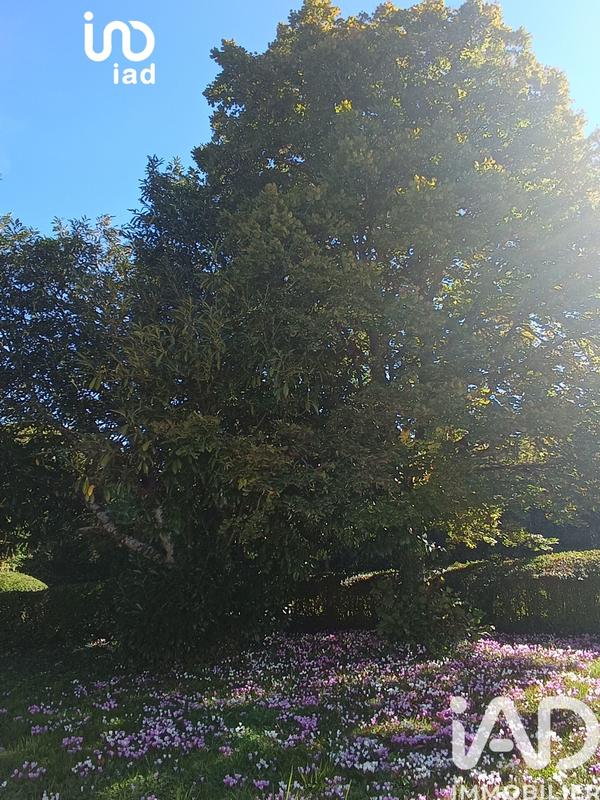 Maison de campagne - 72 m² - 3 pièces