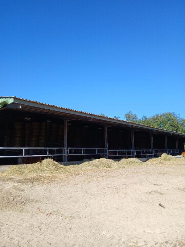 Maison - 1 800 m² - 1 pièce