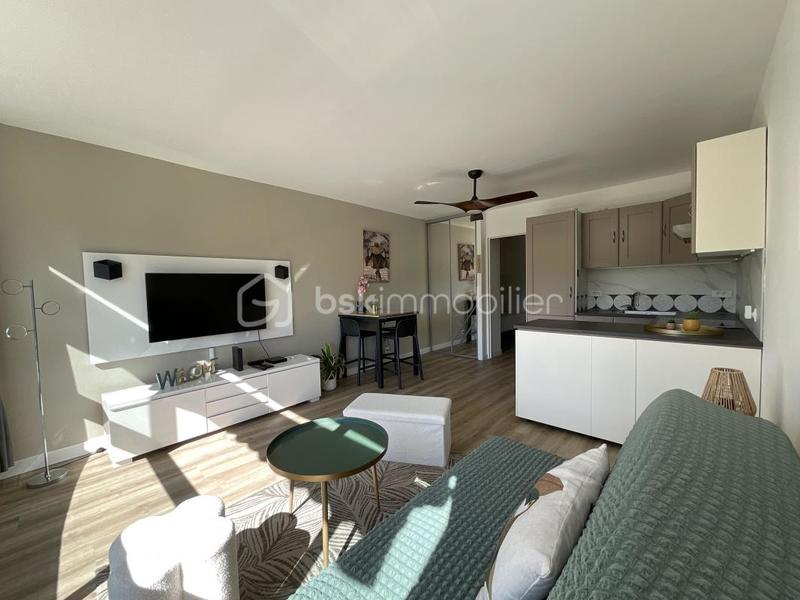 Studio - 24 m² - 1 pièce