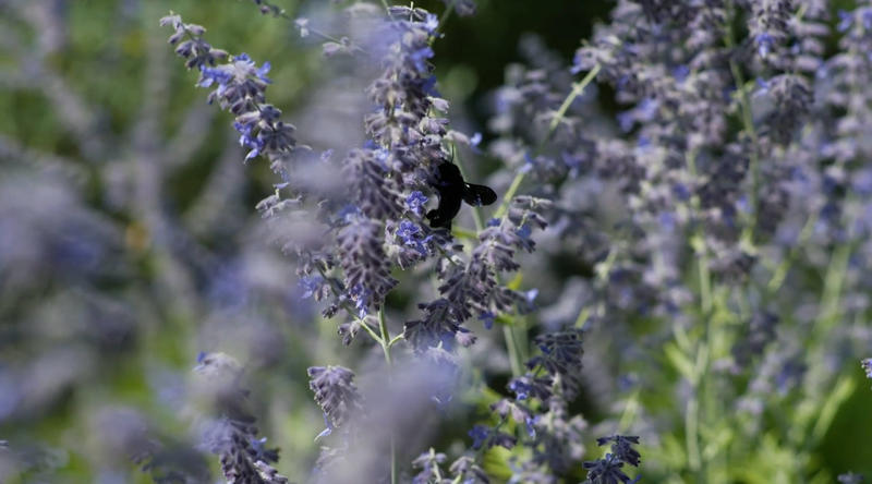 Maison - 198 m² - 7 pièces