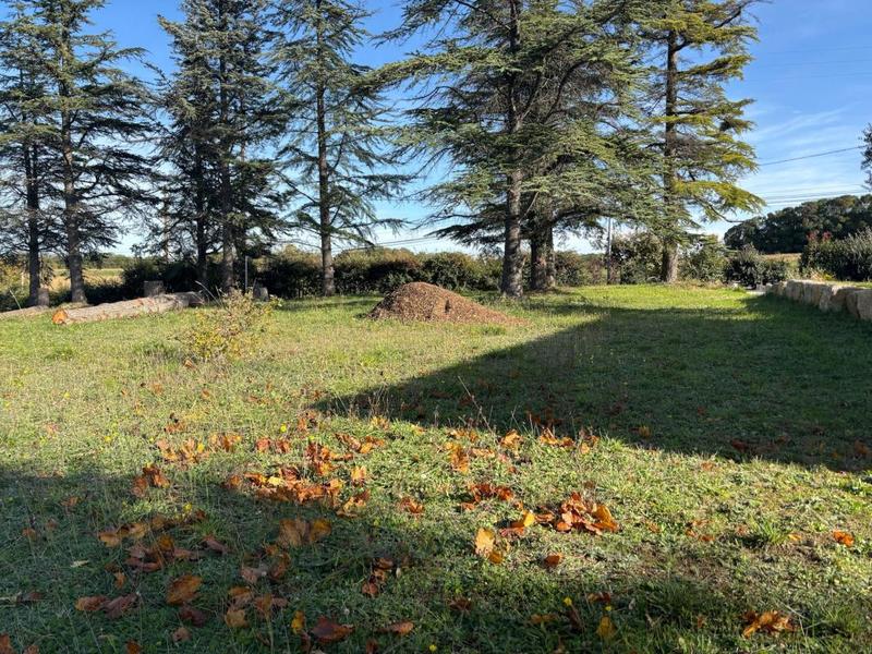 Terrain constructible - 1 556 m²