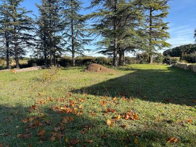 Terrain constructible - 1 556 m²