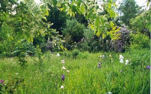 Arboretum du Chêne Vert