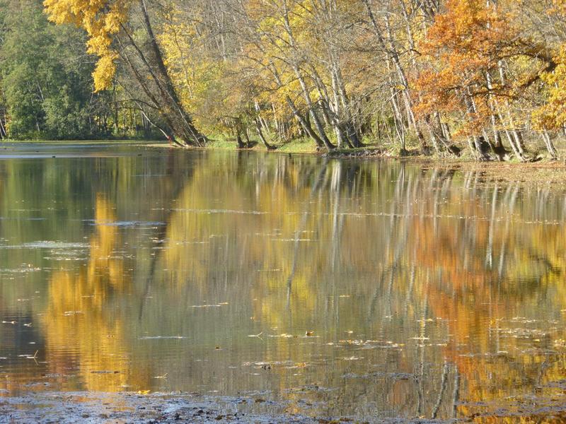 Maison - 359 m² - 4 pièces