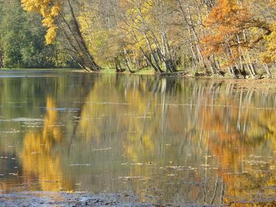 Maison - 359 m² - 4 pièces